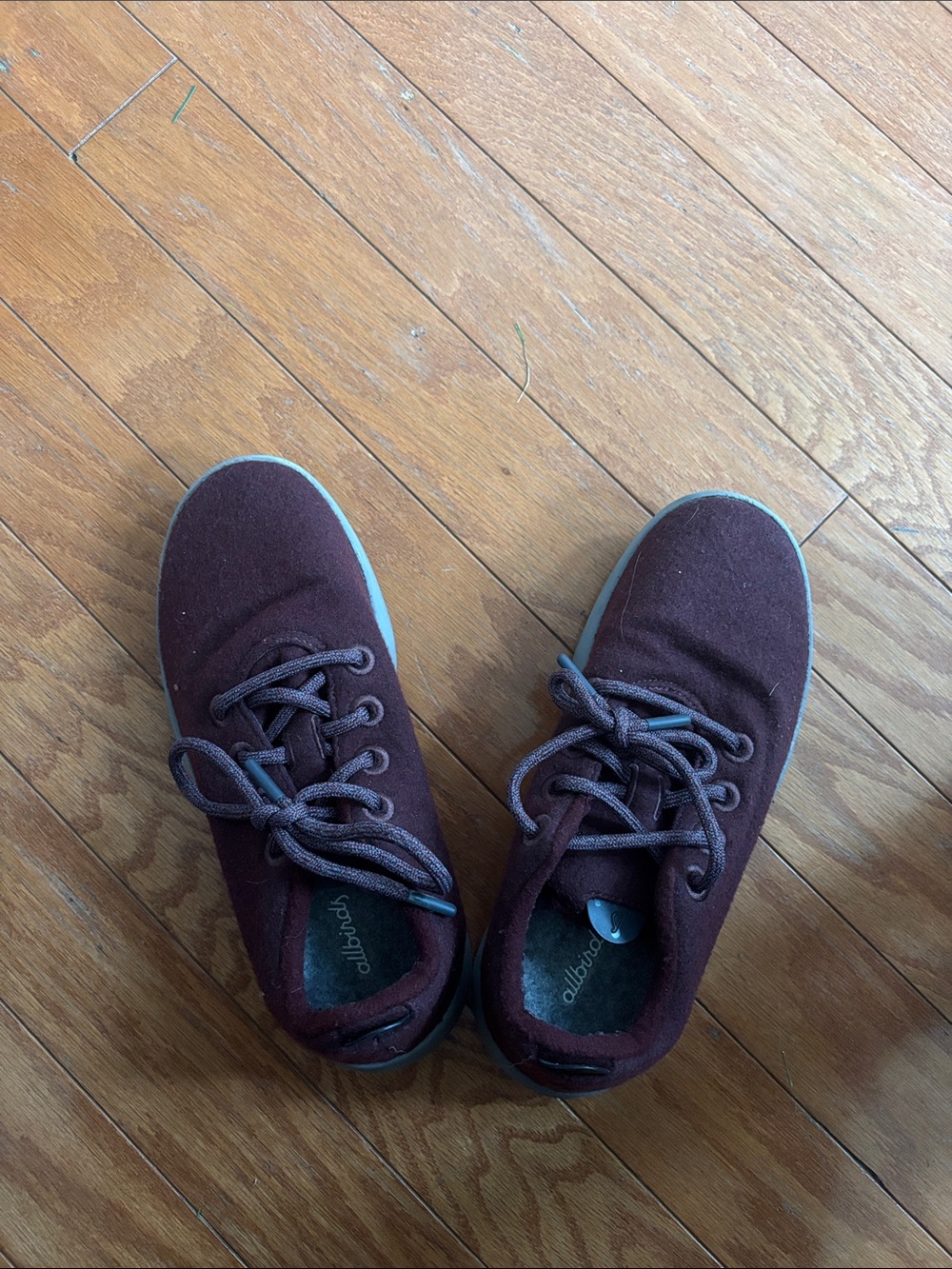 allbirds Women's Wool Sneakers in Burgundy with Gray Trim